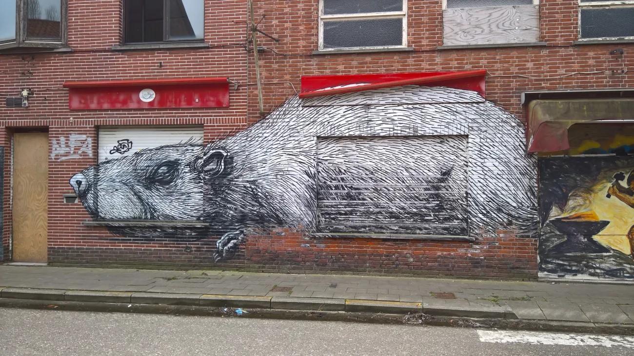 Doel-Belgium