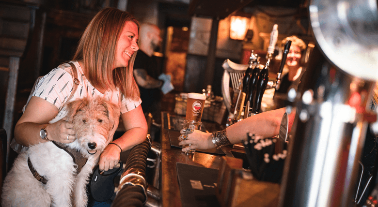 Winter Activities in Newcastle - Dog Cafe