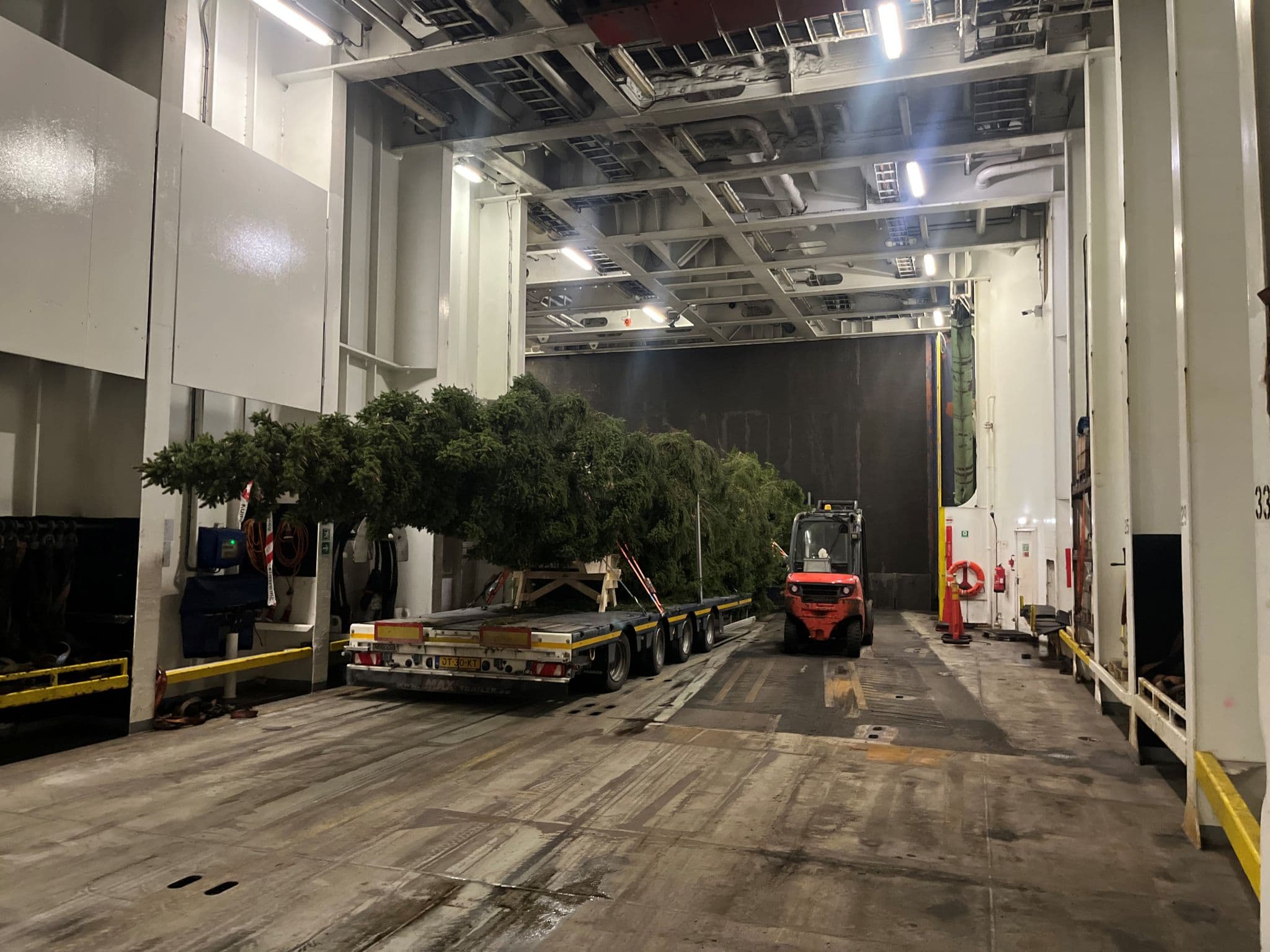 A very special delivery to London - the annual Christmas tree directly from Norway.
