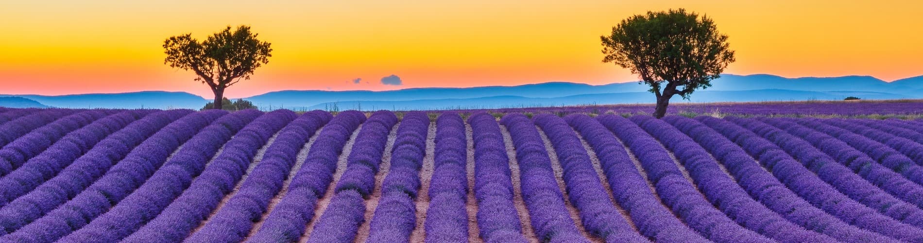 Top-5-TikTok-Hacks-for-the-perfect-holiday-Golden-Hour-snap-Header