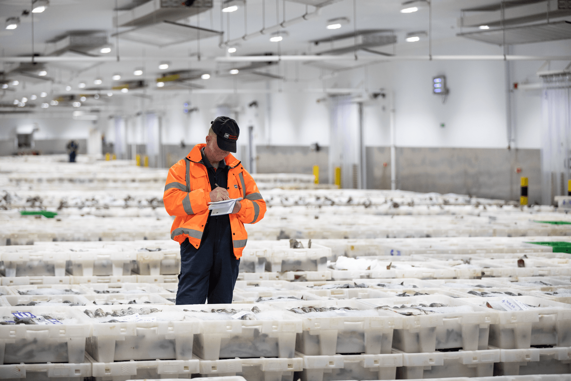 A man checking the cold chain products at the warehouse in Scotland