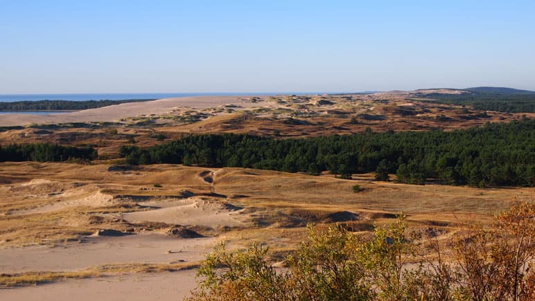 parnidder credits-suvi-maekinen