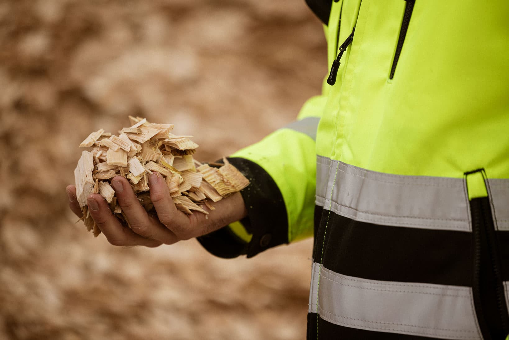 DFDS, Norske Skog worker holding wood chips