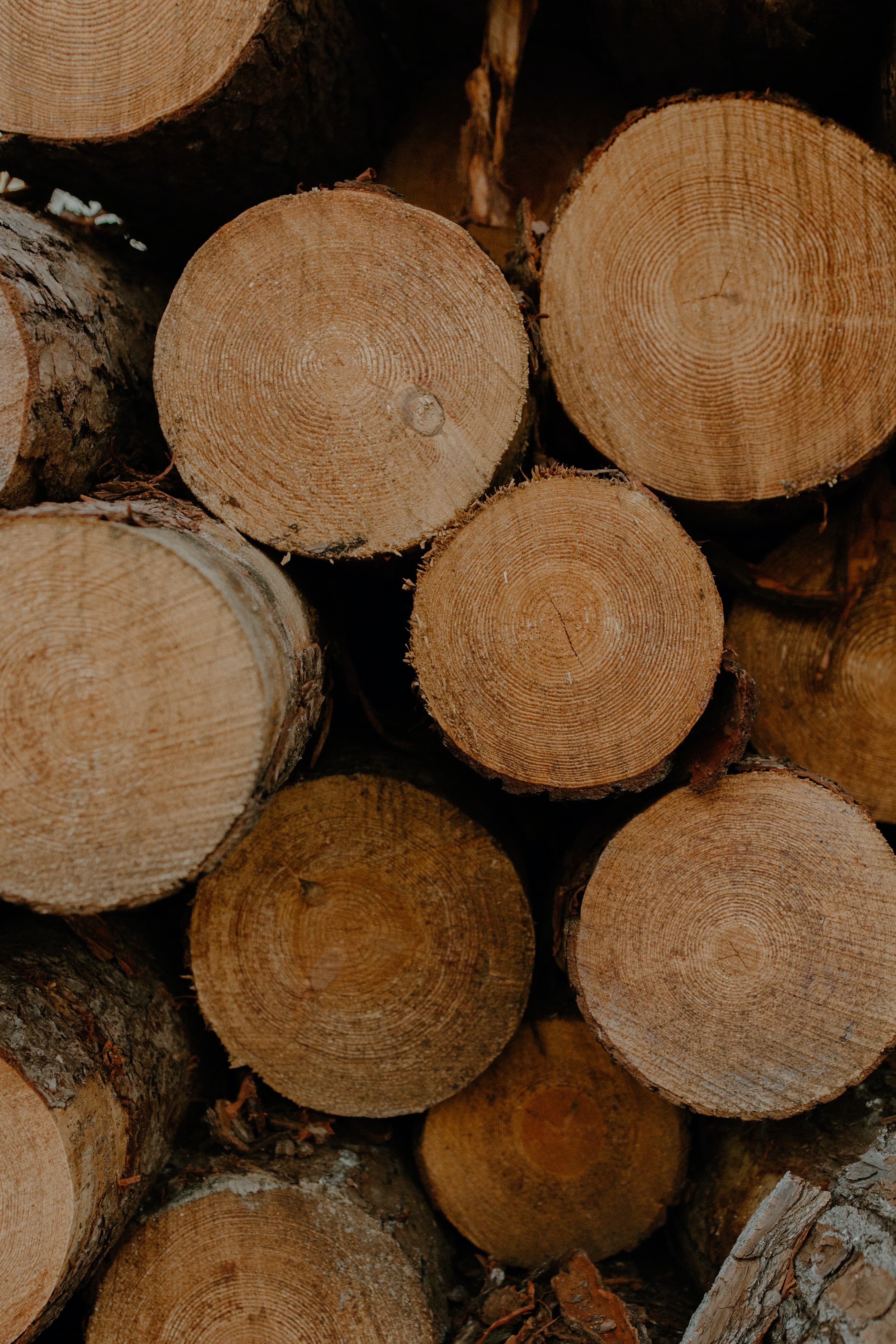 Logs stacked on top of each other.