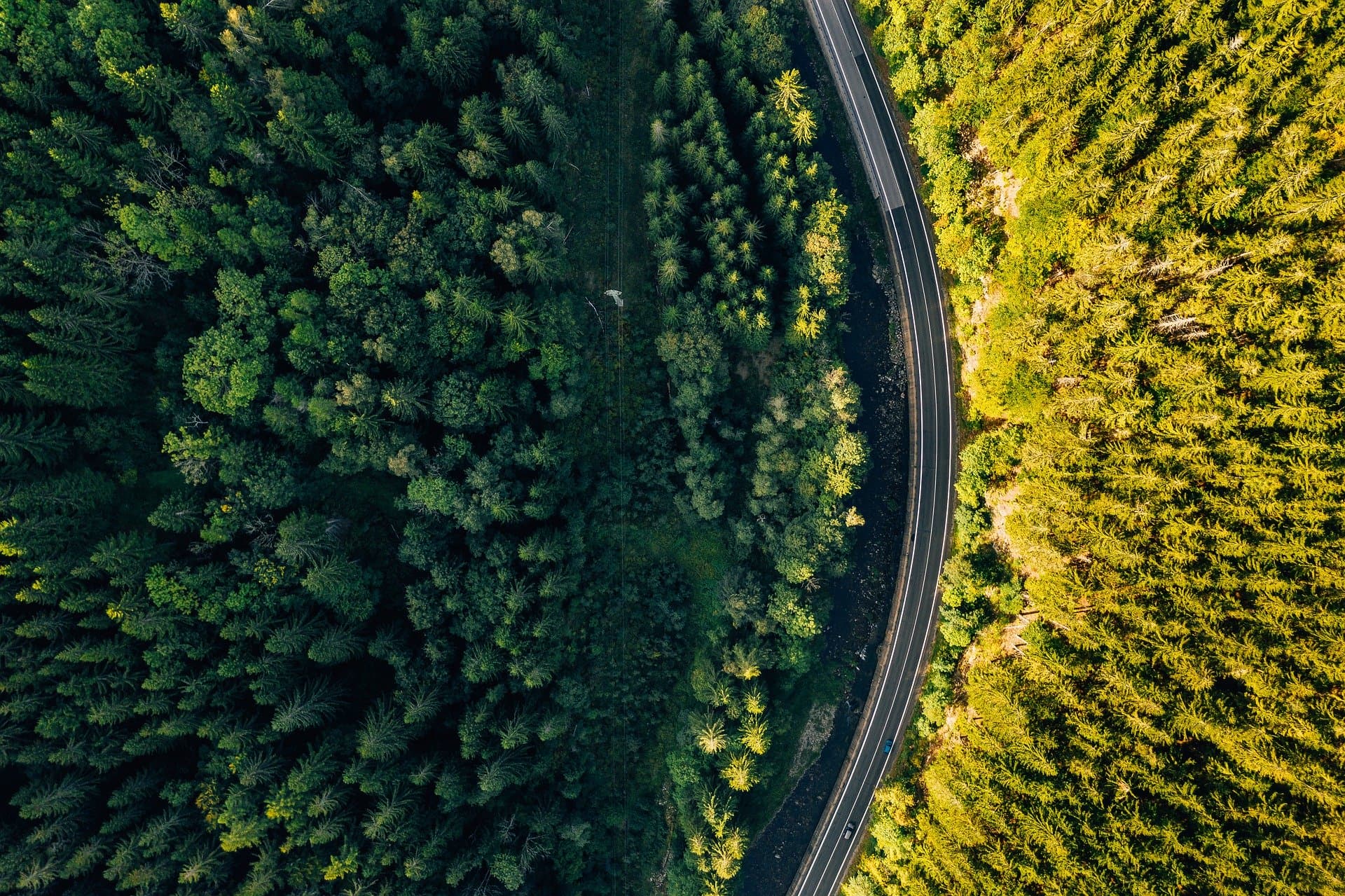 An aerial shot of a road between two forests
