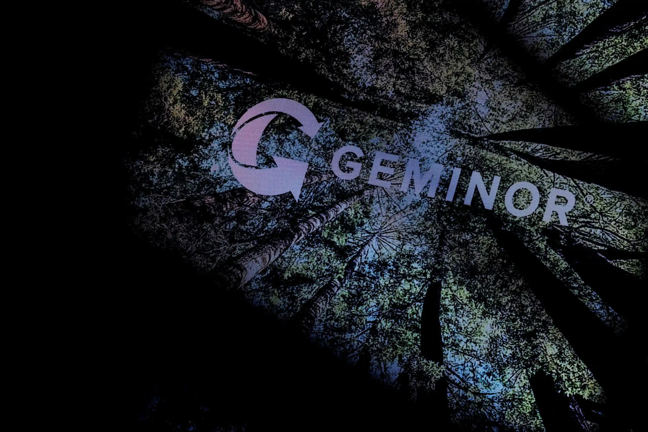 Forest canopy seen from below with an overlaid Geminor logo.