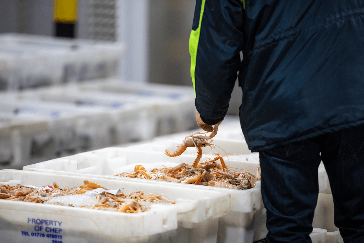 A supervisor examines seafood boxes at the DFDS cold chain facility in Larkhall